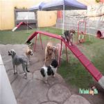 Creche (day Care)