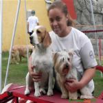 Creche (day Care)