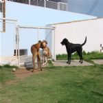 Creche (day Care)