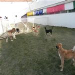 Creche (day Care)