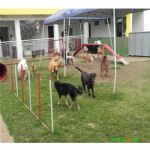 Creche (day Care)