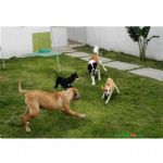 Creche (day Care)