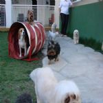 Creche (day Care)