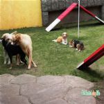 Creche (day Care)