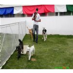 Creche (day Care)