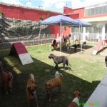 Creche (day Care)