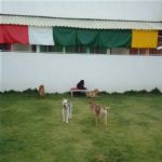 Creche (day Care)