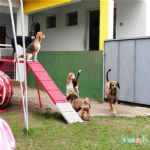 Creche (day Care)