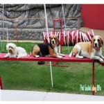 Creche (day Care)