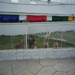 Creche (day Care)