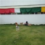 Creche (day Care)