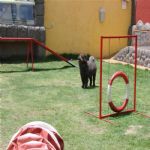 Creche (day Care)