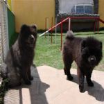 Creche (day Care)