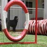 Creche (day Care)