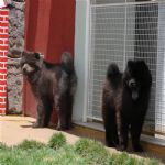 Creche (day Care)