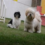 Creche (day Care)