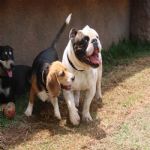 Creche (day Care)