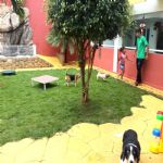 Creche (day Care)