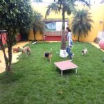 Creche (day Care)
