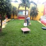 Creche (day Care)