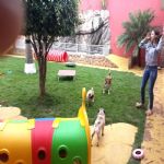 Creche (day Care)