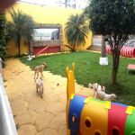 Creche (day Care)