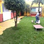 Creche (day Care)