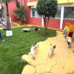 Creche (day Care)
