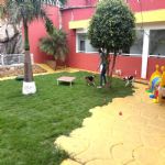 Creche (day Care)