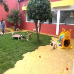 Creche (day Care)