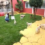 Creche (day Care)