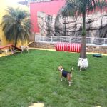Creche (day Care)