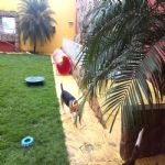 Creche (day Care)