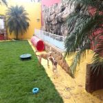 Creche (day Care)