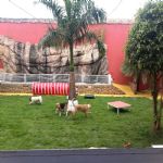 Creche (day Care)