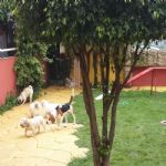 Creche (day Care)