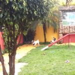 Creche (day Care)