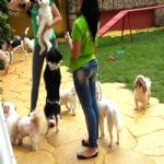 Creche (day Care)