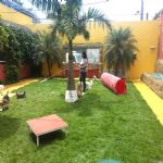 Creche (day Care)