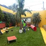 Creche (day Care)