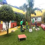 Creche (day Care)