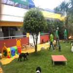 Creche (day Care)