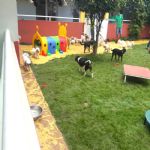 Creche (day Care)
