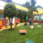 Creche (day Care)