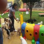 Creche (day Care)