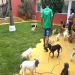 Creche (day Care)