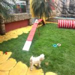 Creche (day Care)