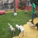 Creche (day Care)