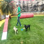 Creche (day Care)