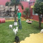Creche (day Care)